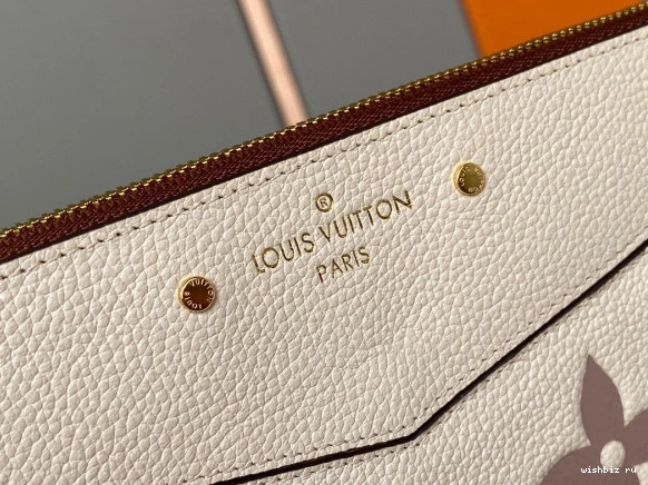 WIS LOUIS VUITTON DAILY POUCH 1010